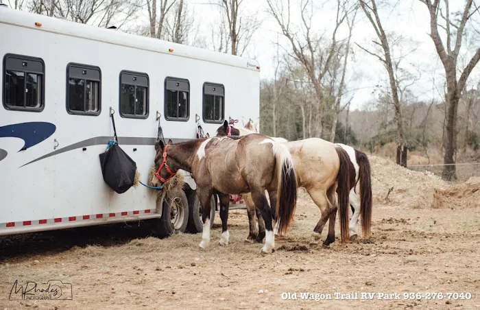 Old Wagon Trail RV Park 7