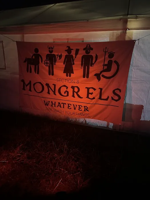 Section 8 Mongrels 2