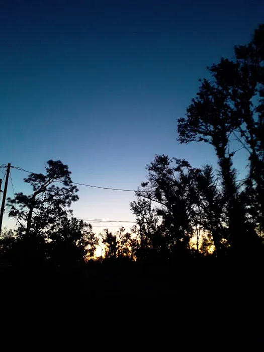 White Oak Park 5