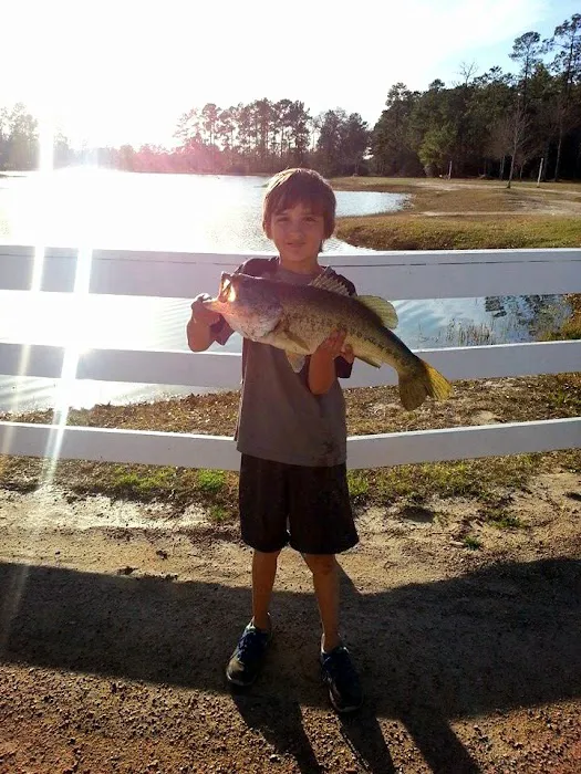 Jellystone Park™ Lake Charles 2
