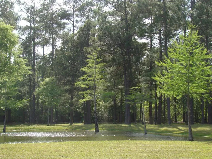 Jellystone Park™ Lake Charles 4