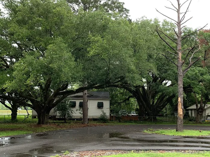 Evangeline Oaks RV Park - Opelousas 2