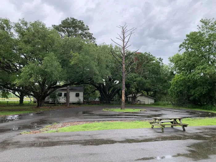 Evangeline Oaks RV Park - Opelousas 3