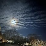 Evangeline Downs RV Park