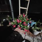 Tinas' Manufactured Home