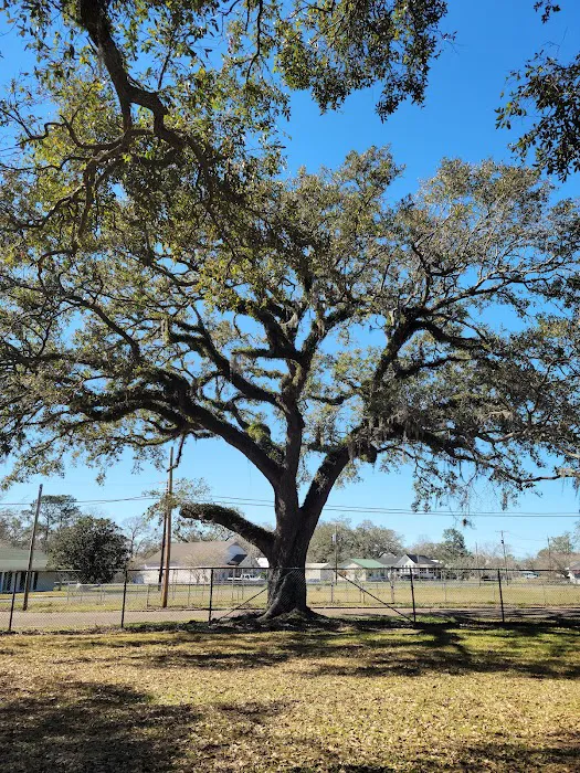 Cypress Estates Manufactured Home Community 8