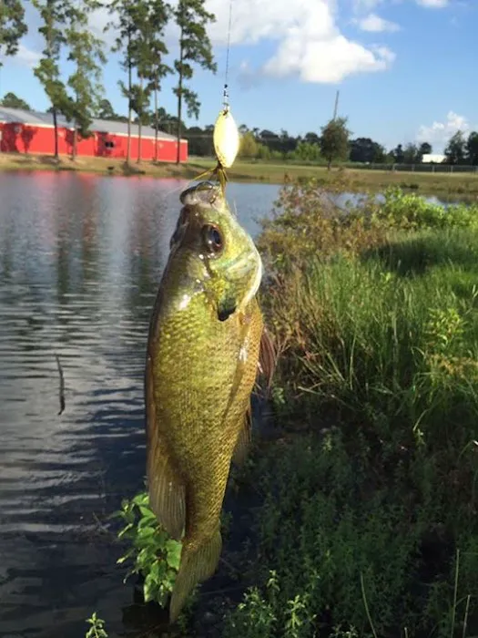 Turtle Lake RV Park 2