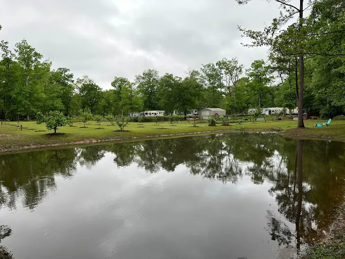 Crazy Grape RV Park LLC 4