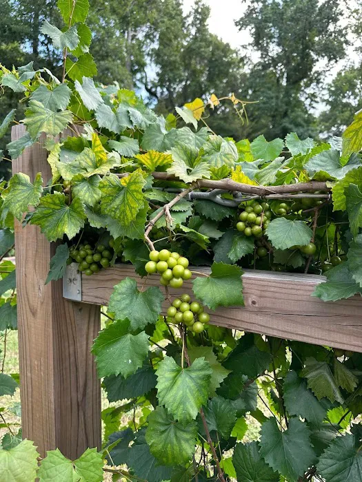 Crazy Grape RV Park LLC 9