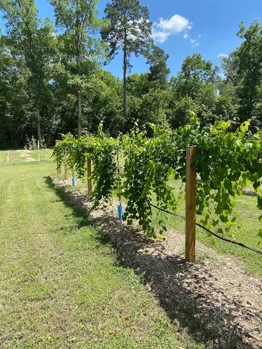 Crazy Grape RV Park LLC 10