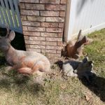 DeerPark Mobile Home and RV Park