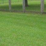 The Property Country Living