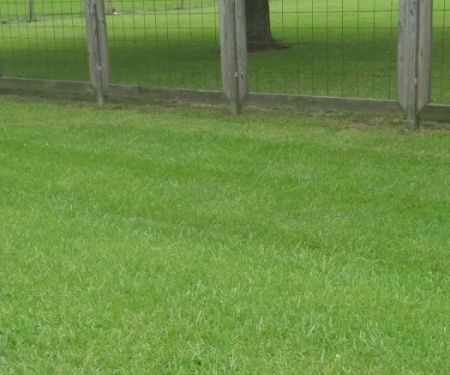 The Property Country Living