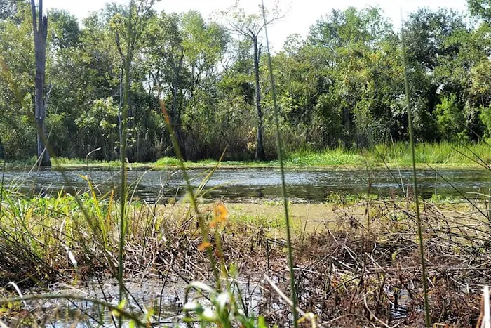 Cypress Lake RV Park 10