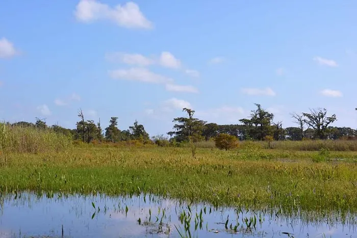 Cypress Lake RV Park 3