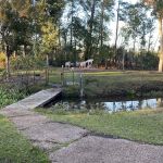 Snow White Sanctuary - Campground