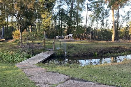 Snow White Sanctuary - Campground