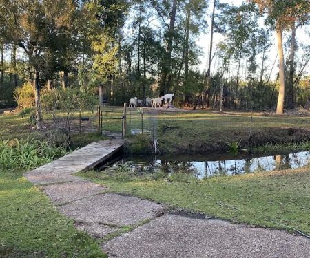 Snow White Sanctuary - Campground