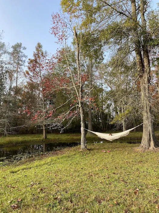 Snow White Sanctuary - Campground 10