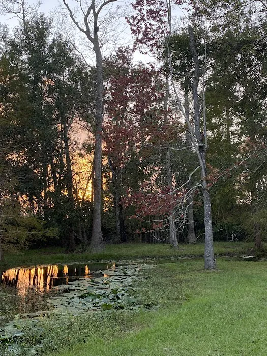 Snow White Sanctuary - Campground 7