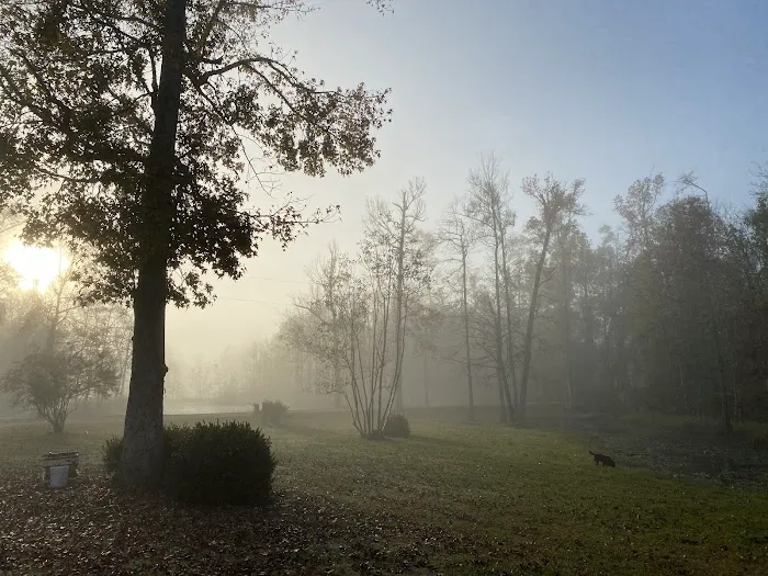 Snow White Sanctuary - Campground 6