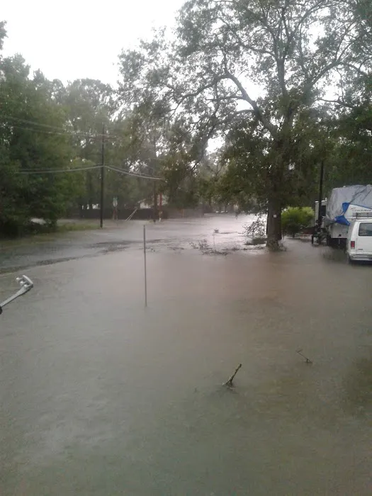 West Orange Mobile Home Comm 3