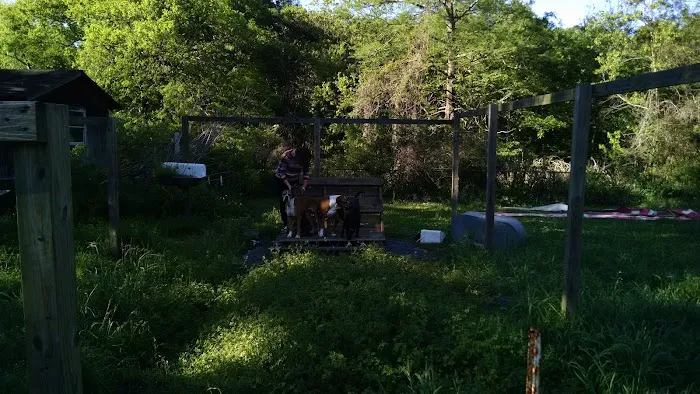 West Orange Mobile Home Comm 4