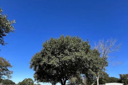 Mobile Estates, RV and Mobile Home Park, LLC