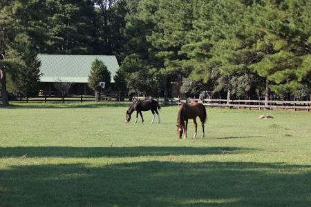 Brushy Creek Ranch