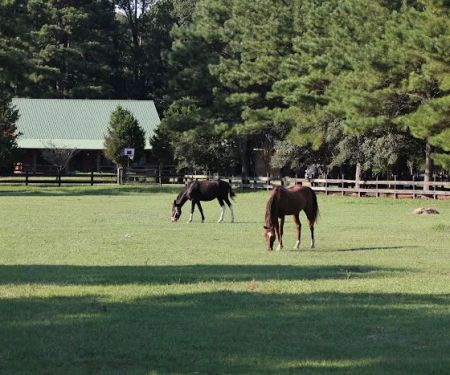 Brushy Creek Ranch