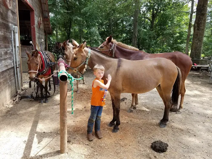 Brushy Creek Ranch 5