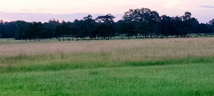 Country Breeze Mobile Home Park 5