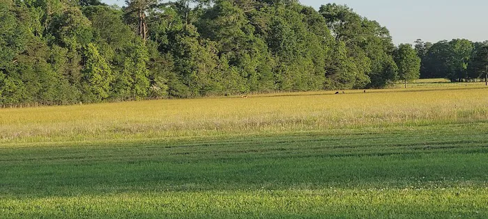 Country Breeze Mobile Home Park 3
