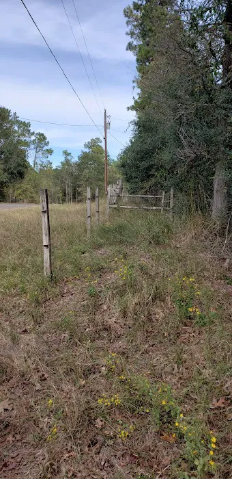 Clark Country RV Park 4