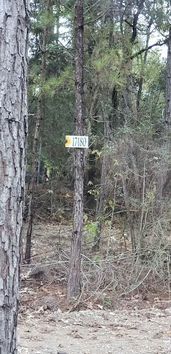 Clark Country RV Park 8