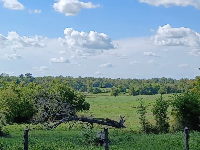 Birthplace of Texas RV Park 5