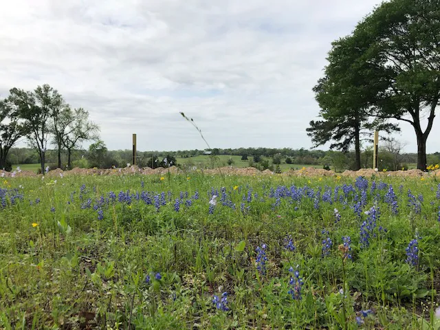 Birthplace of Texas RV Park 9