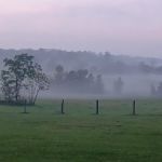 Birthplace of Texas RV Park