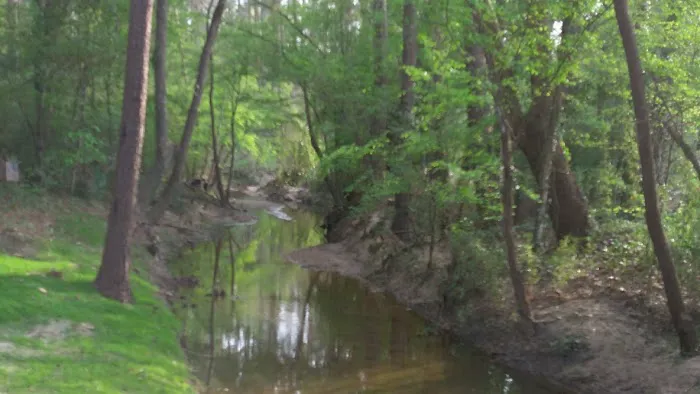 Lake Conroe RV Park 10
