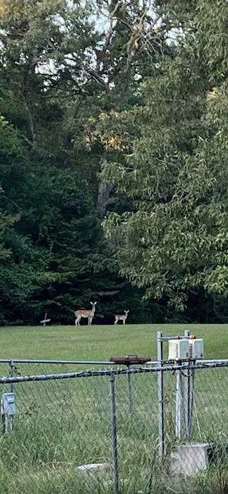 The RV Round Up 1