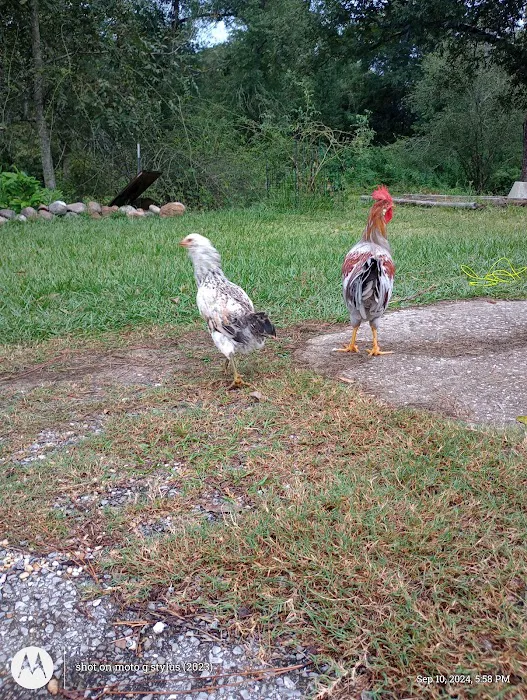 Country Aire Mobile Home Park 2
