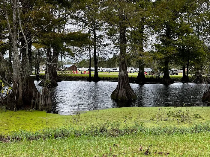 Bayou Wilderness RV Campground 2