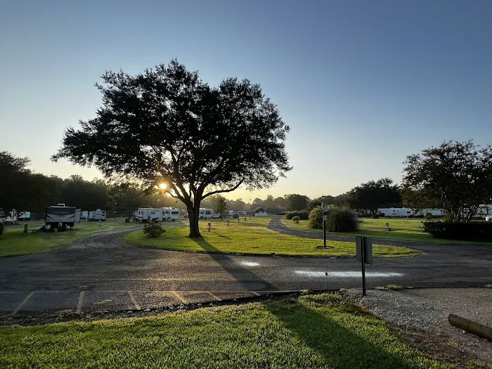 Bayou Wilderness RV Campground 6