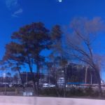 Texas Country RV Park