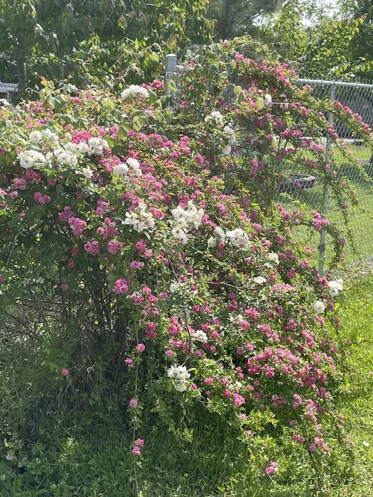 Pecan Grove RV Park 8