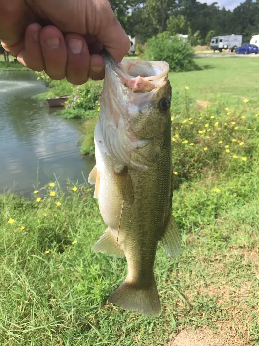 Little Lake RV Park 5