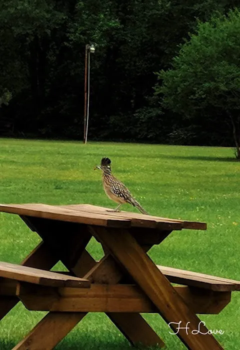 Firetower RV Park 2