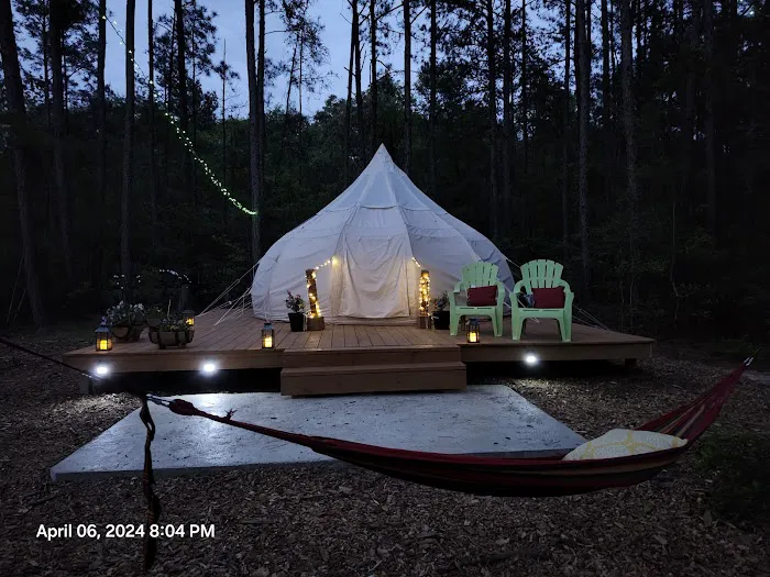Wild Wood Haven 2