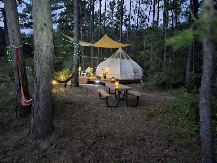 Wild Wood Haven 7