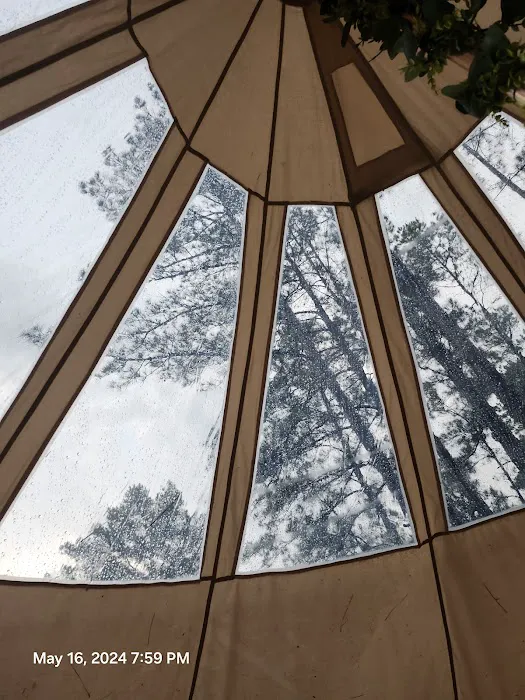 Wild Wood Haven 10